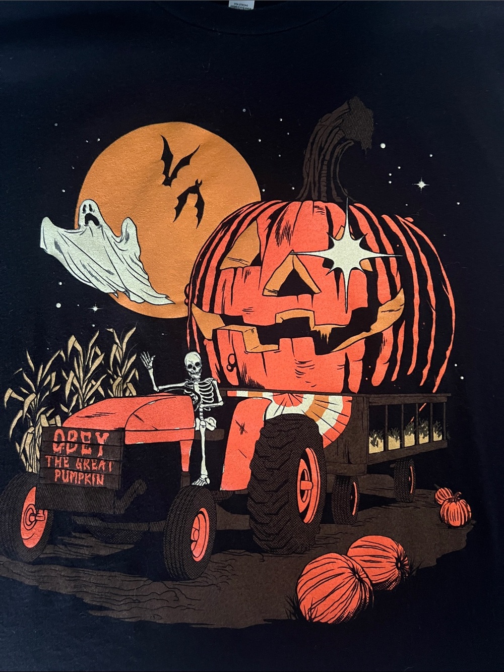 Wicked Clothes Black Graphic Tee ‘The Great Pumpkin’ Size Uni M